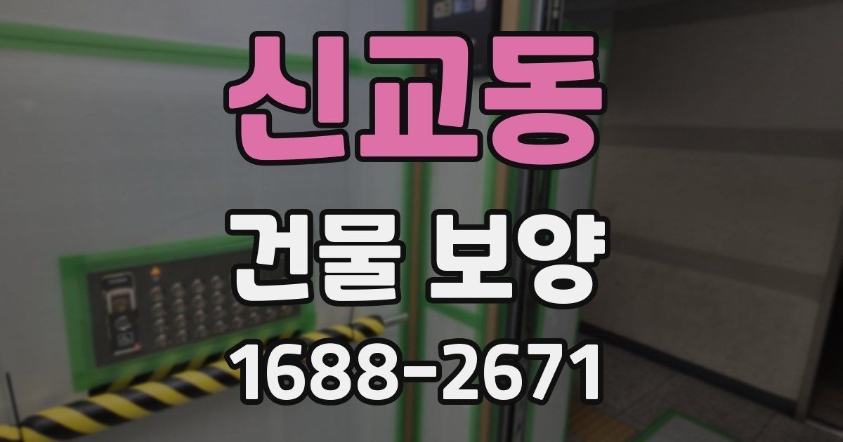 신교동 건물 보양