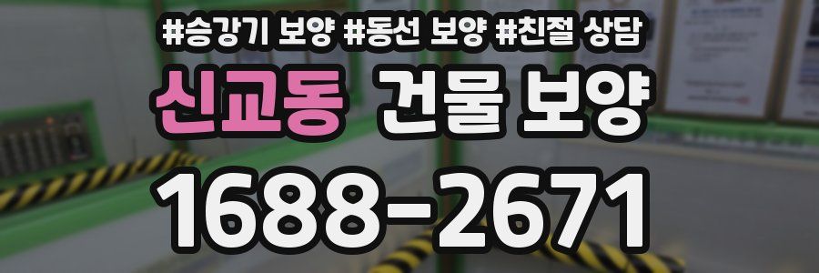 신교동 건물 보양
