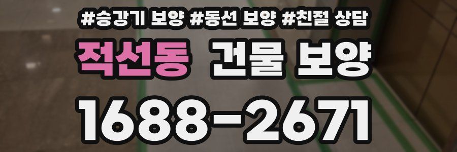 적선동 건물 보양