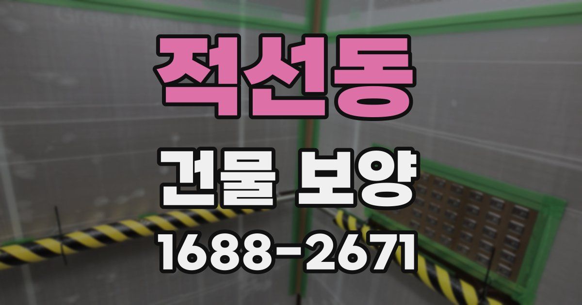 적선동 건물 보양