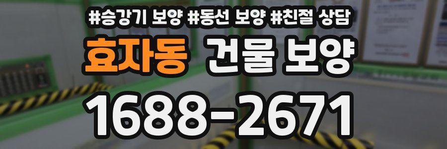 효자동 건물 보양