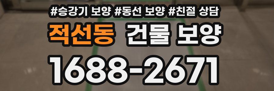 적선동 건물 보양