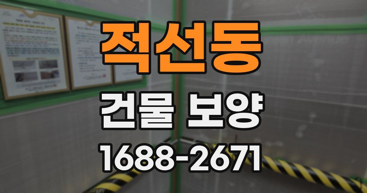 적선동 건물 보양