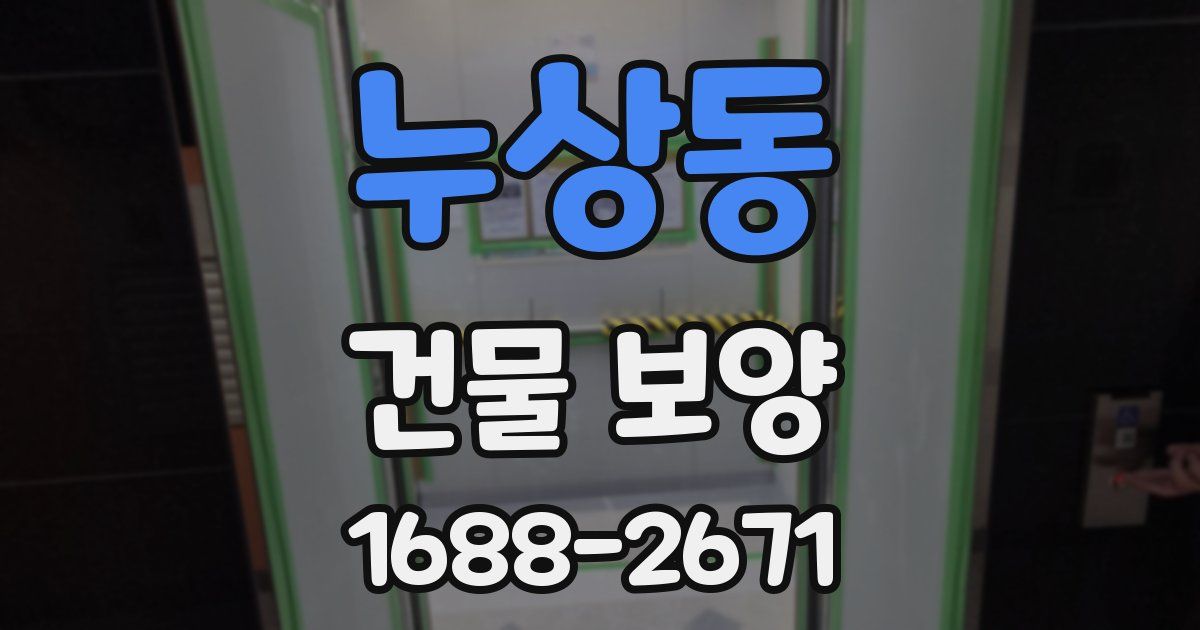 누상동 건물 보양