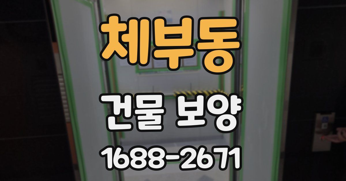 체부동 건물 보양