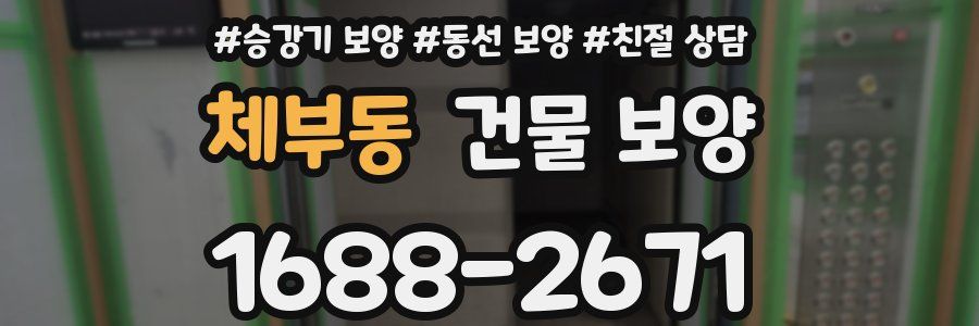 체부동 건물 보양
