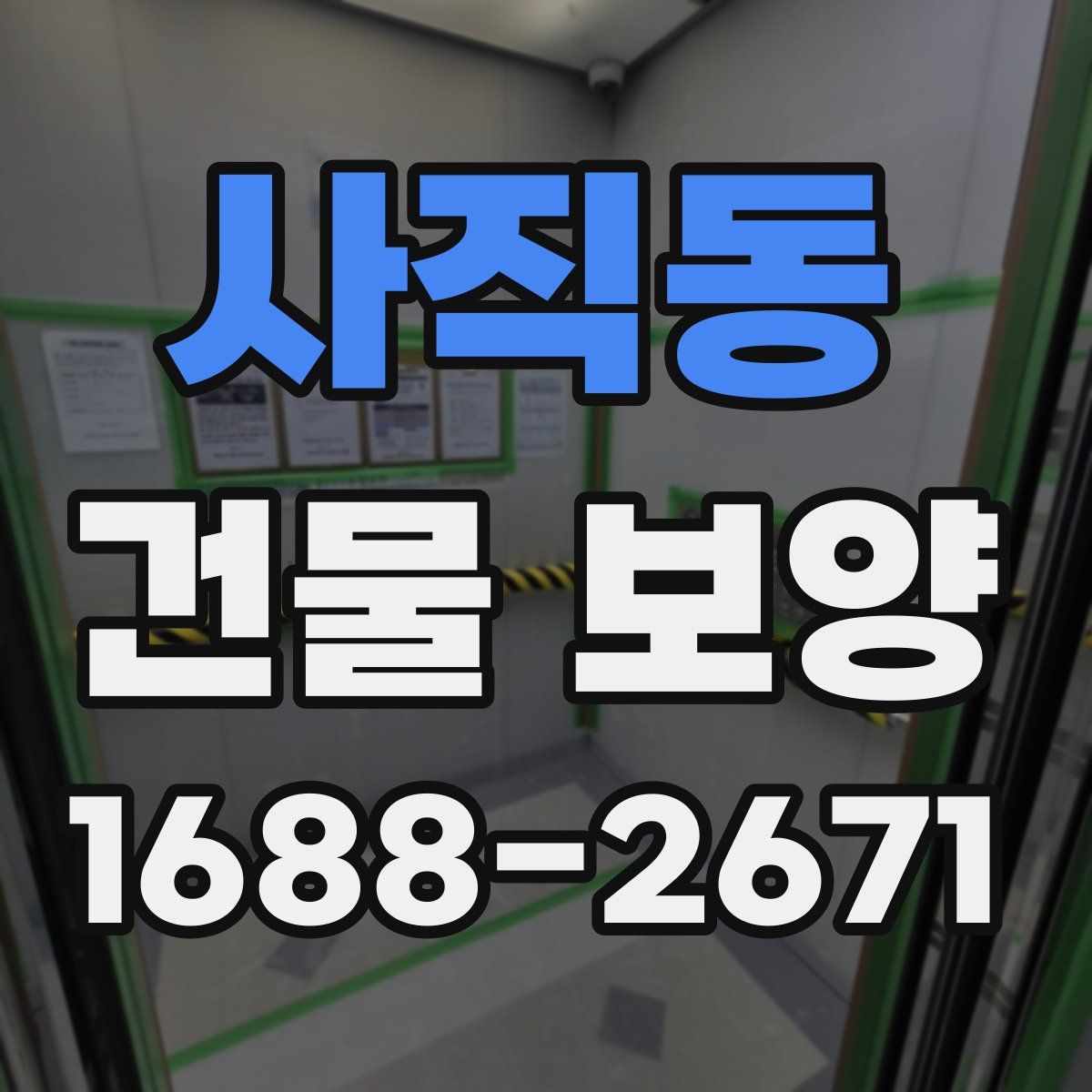 사직동 건물 보양