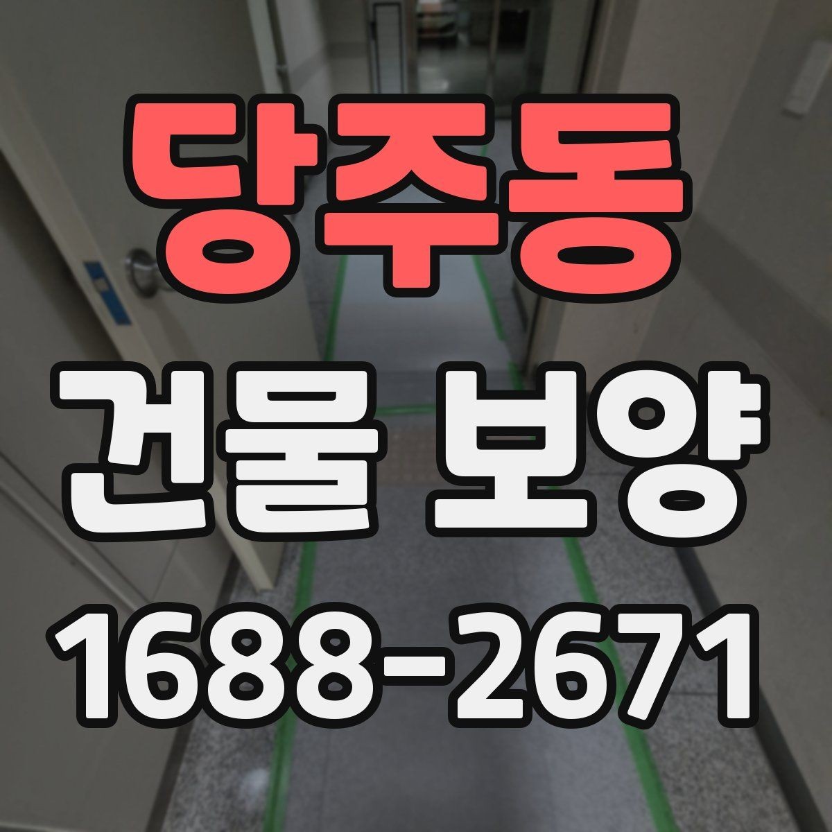 당주동 건물 보양 견적에 영향을 주는 요소들
