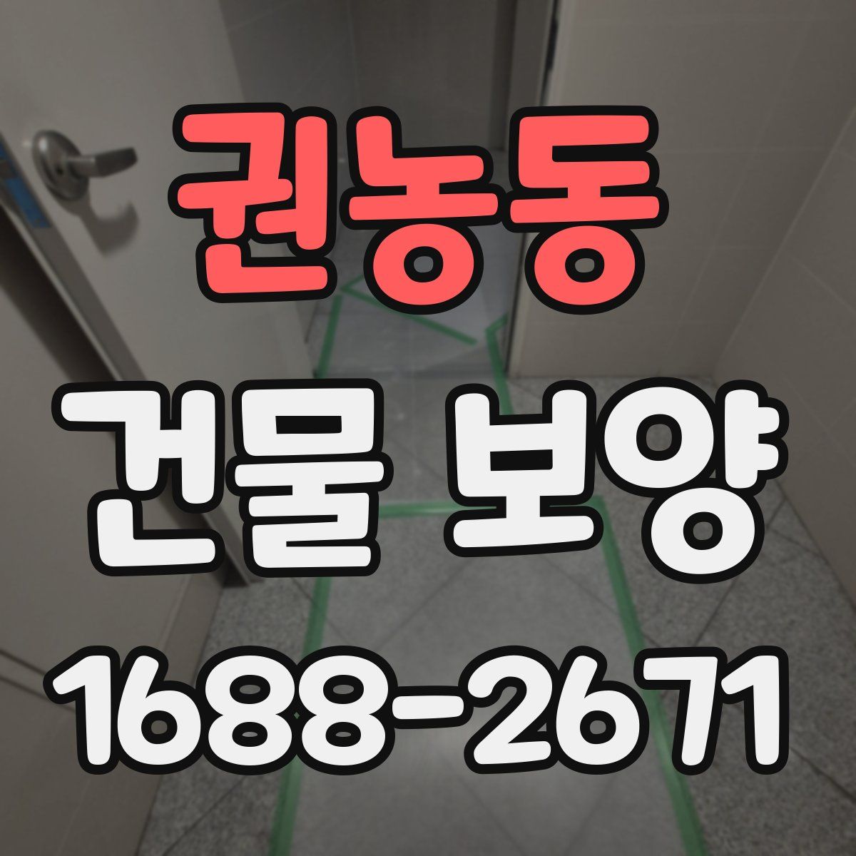 권농동 건물 보양
