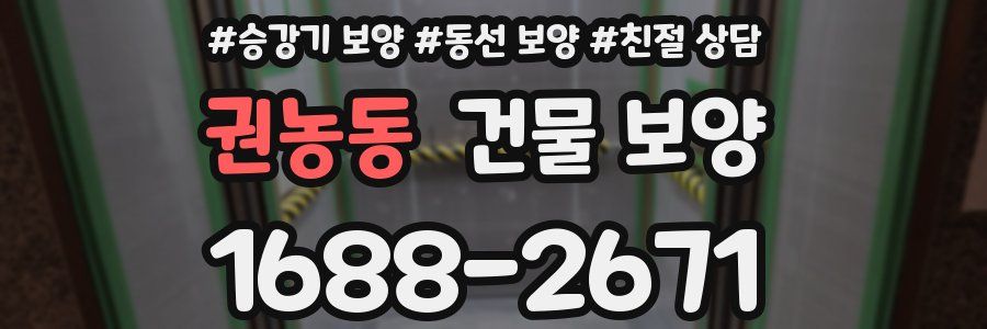 권농동 건물 보양