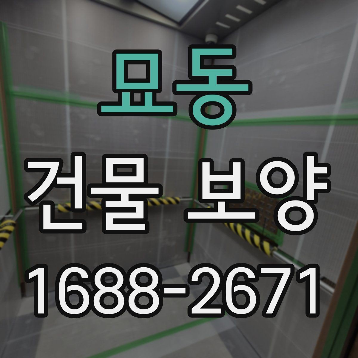 묘동 건물 보양 시공 전후 사진으로 보는 변화