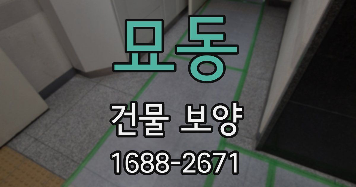 묘동 건물 보양