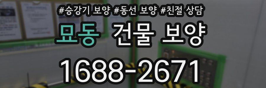 묘동 건물 보양