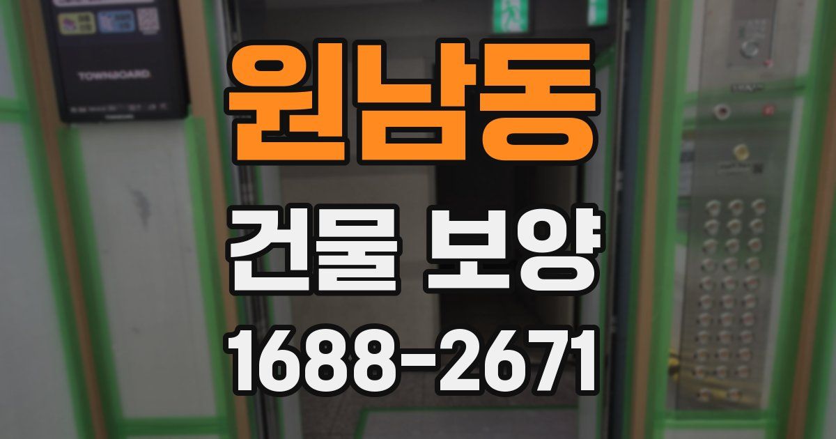 원남동 건물 보양