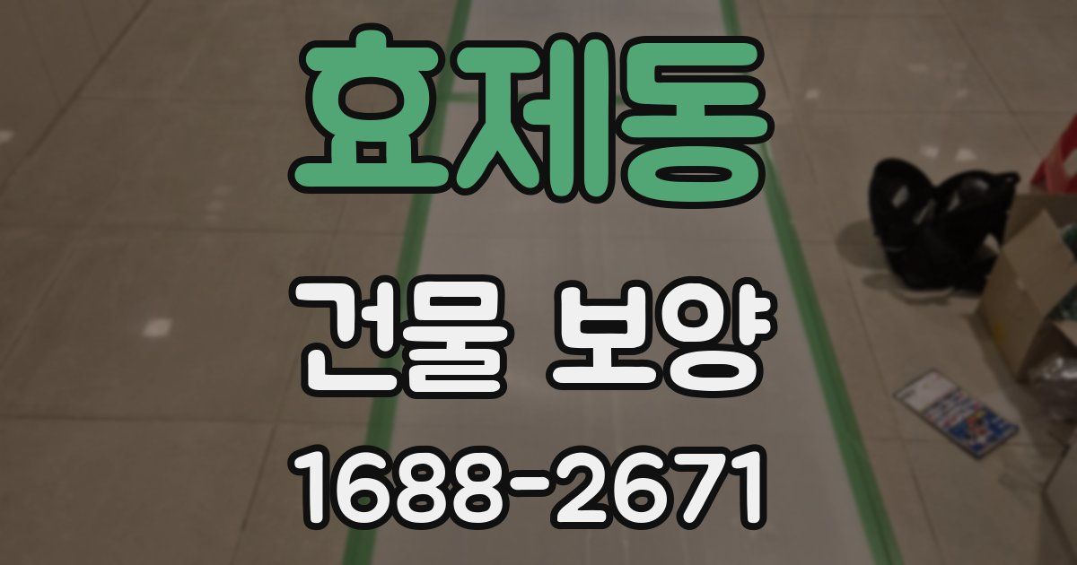 효제동 건물 보양