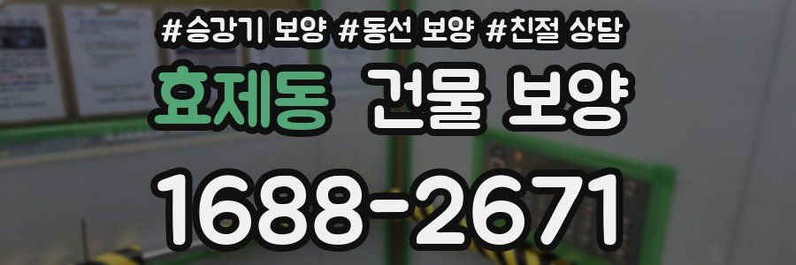 효제동 건물 보양