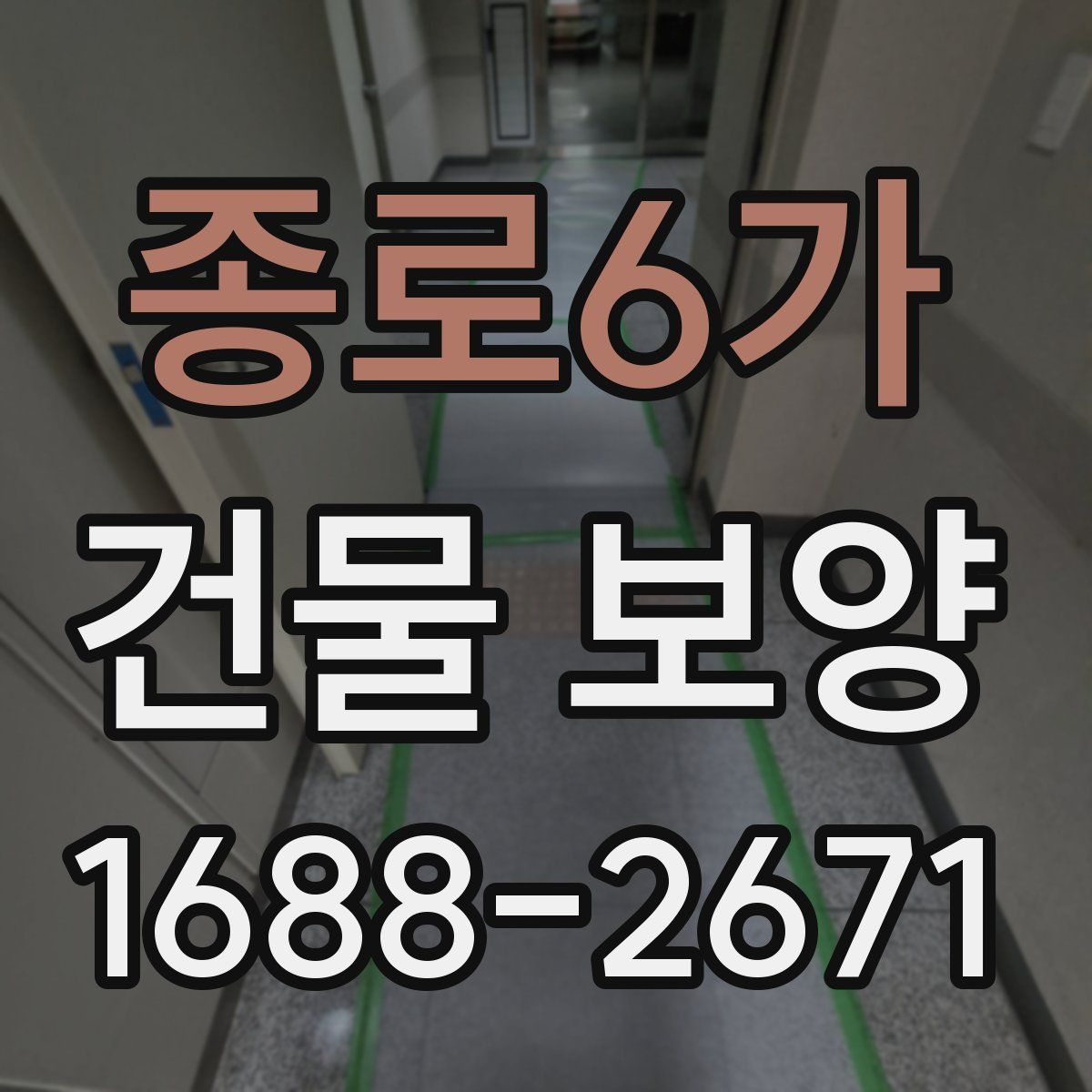 종로6가 건물 보양