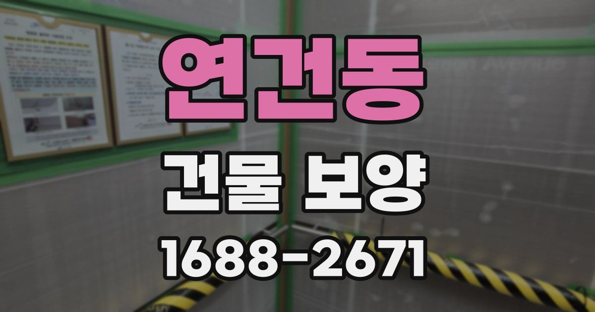 연건동 건물 보양