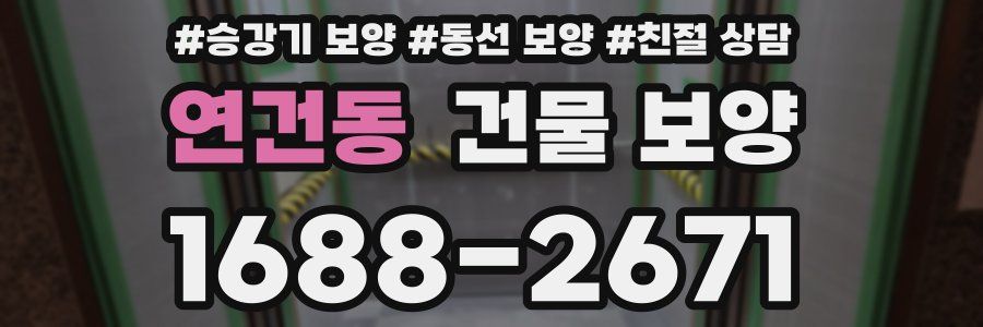 연건동 건물 보양