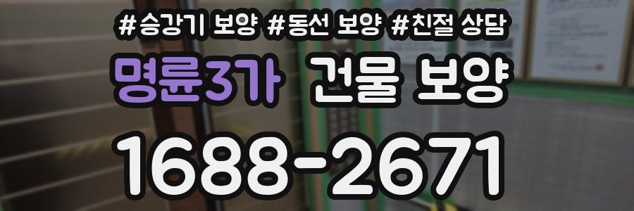 명륜3가 건물 보양