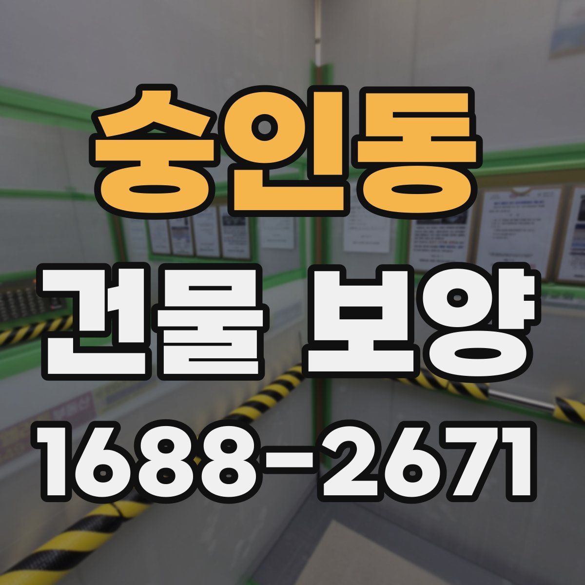 숭인동 건물 보양