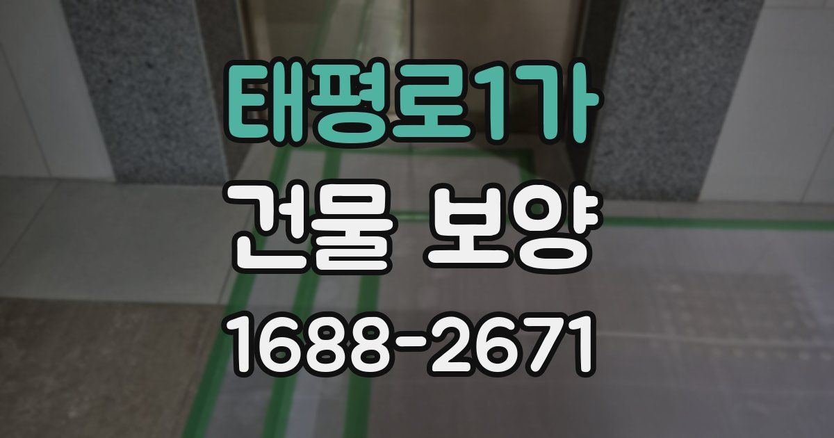 태평로1가 건물 보양