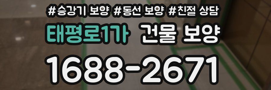 태평로1가 건물 보양
