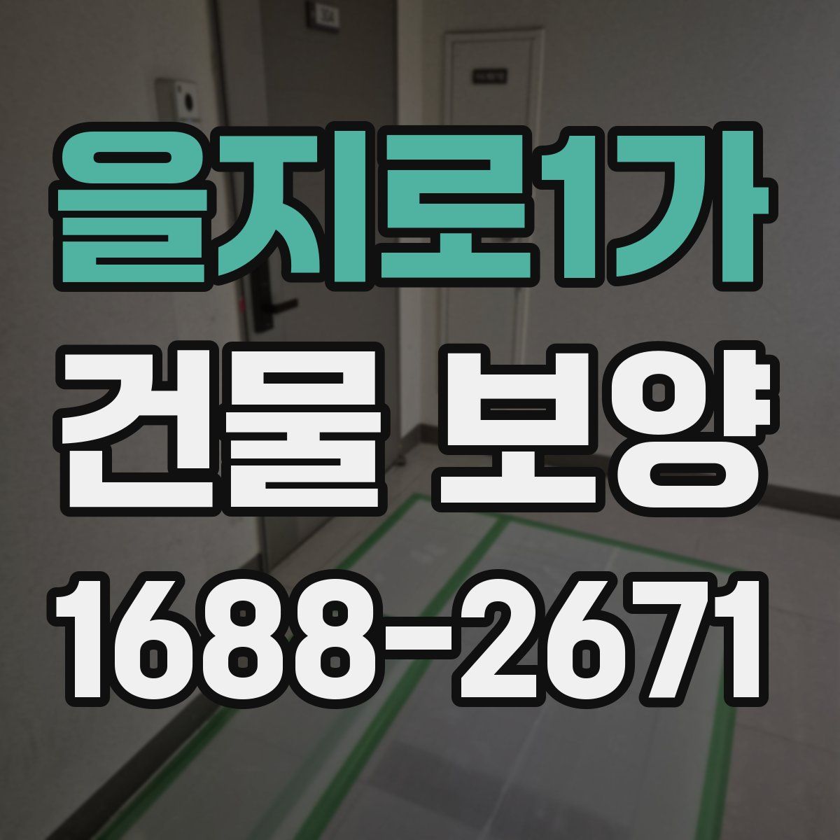 을지로1가 건물 보양