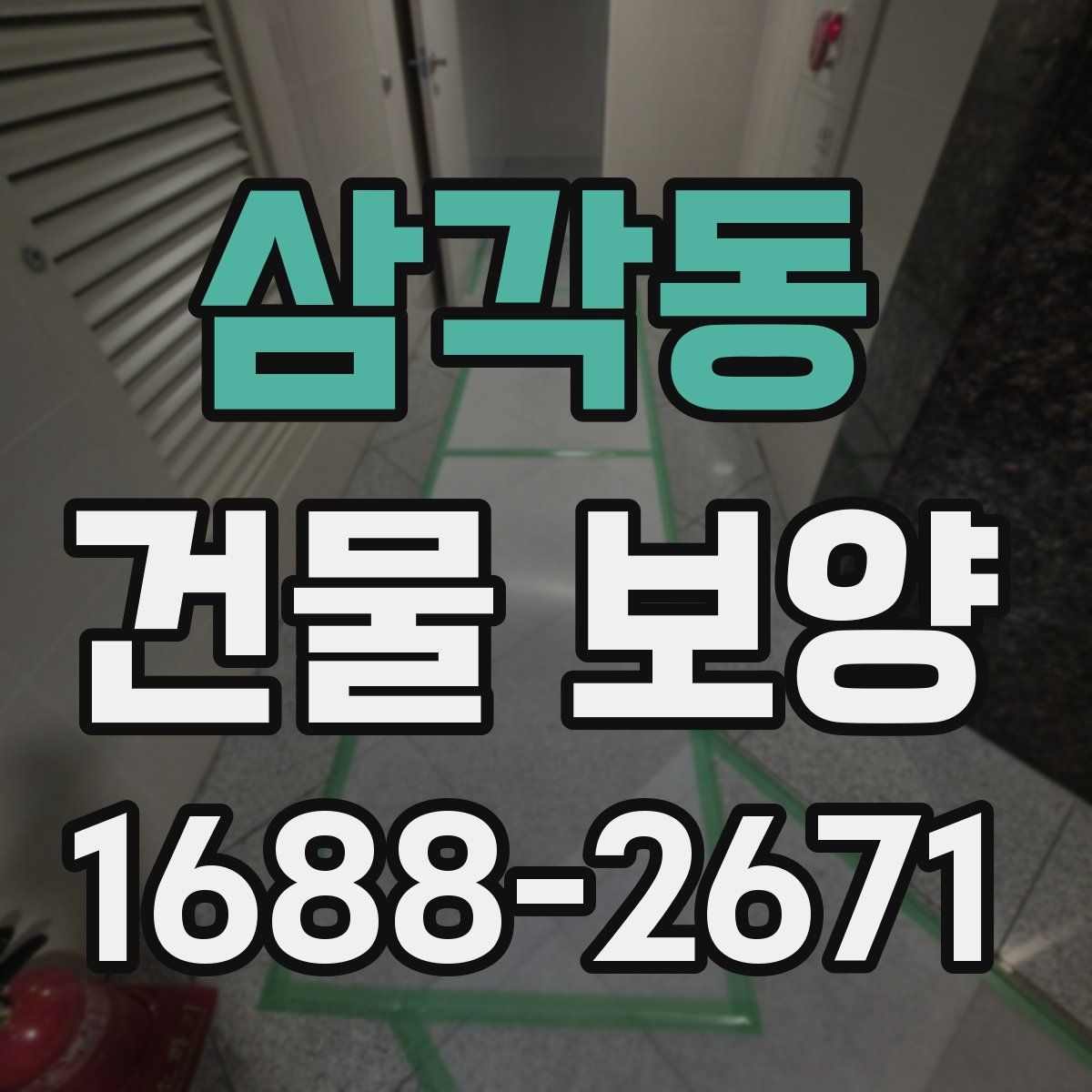 삼각동 건물 보양