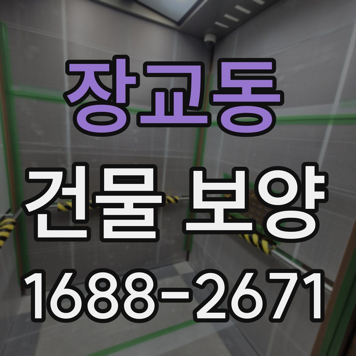 장교동 건물 보양