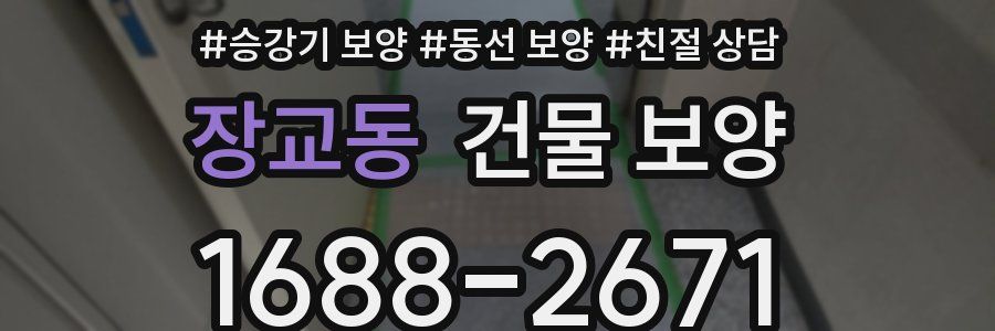 장교동 건물 보양