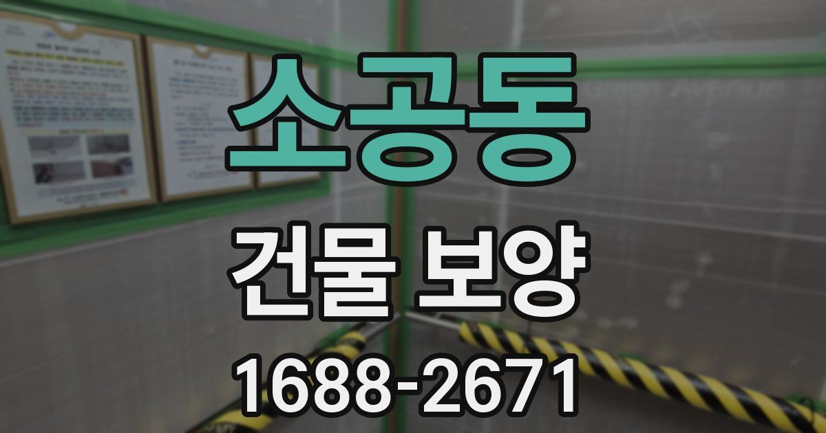 소공동 건물 보양
