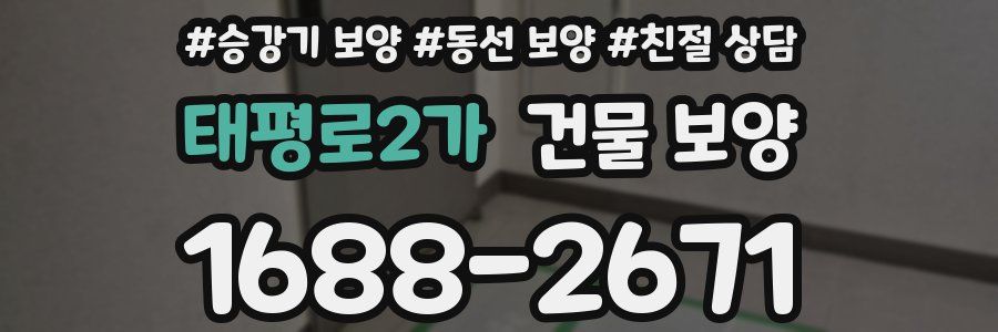 태평로2가 건물 보양