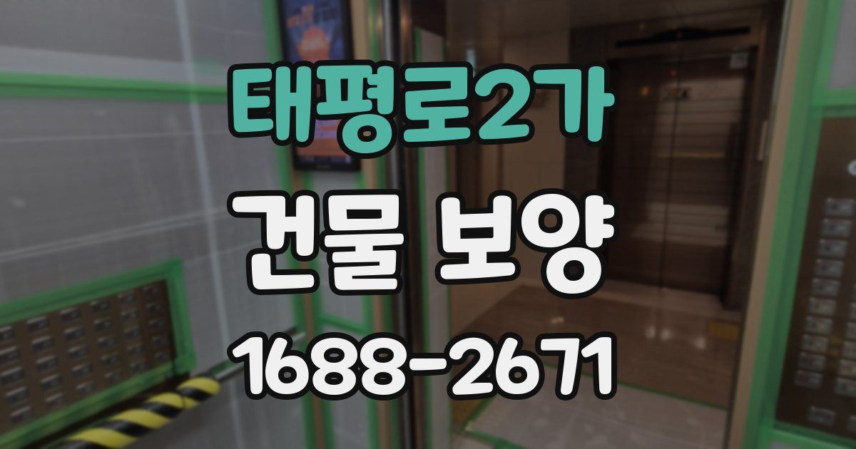태평로2가 건물 보양