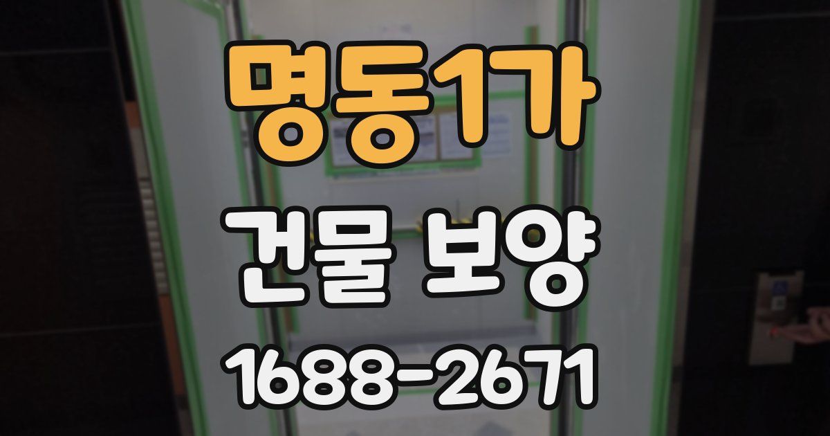 명동1가 건물 보양