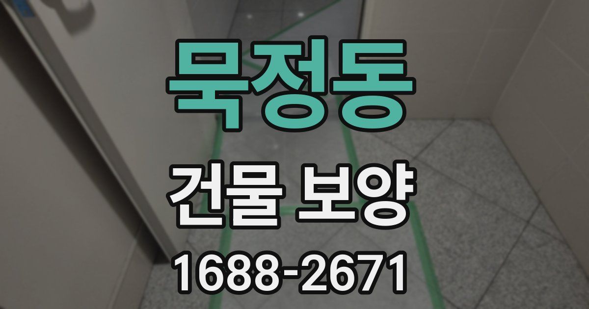 묵정동 건물 보양