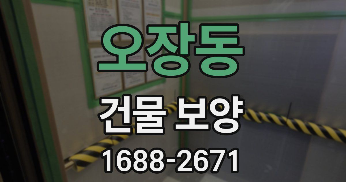 오장동 건물 보양