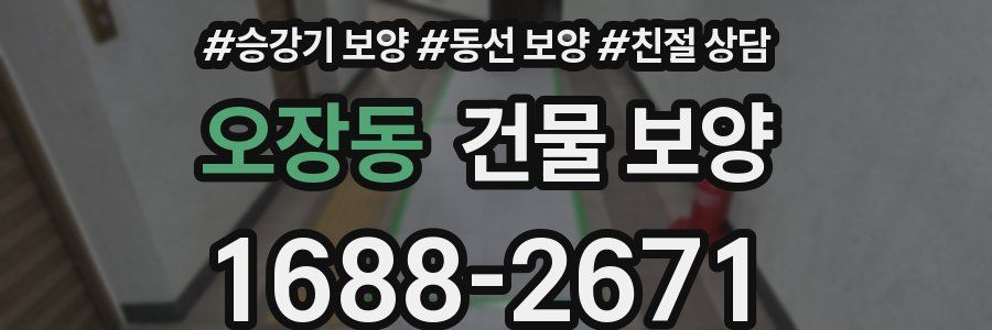 오장동 건물 보양