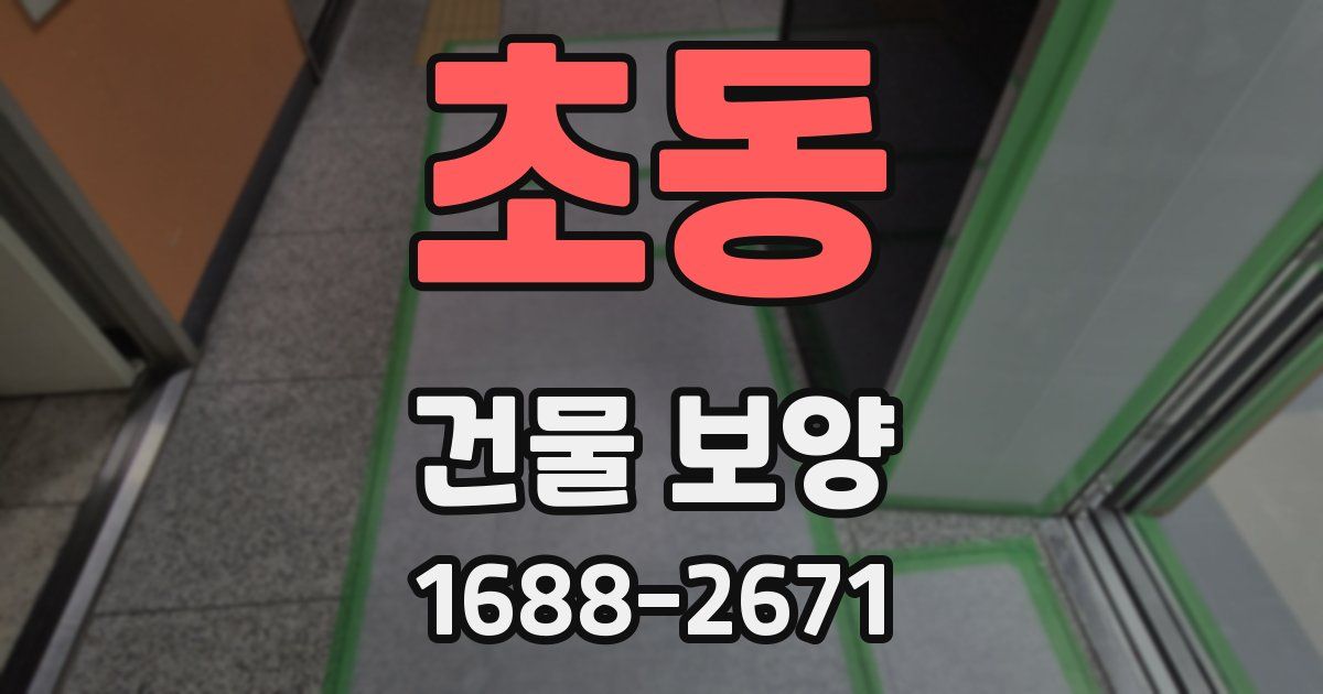 초동 건물 보양