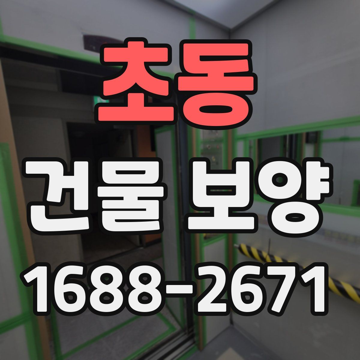 초동 건물 보양