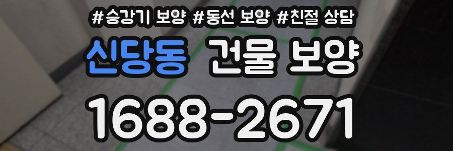 신당동 건물 보양