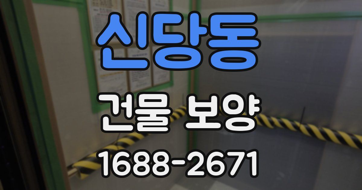신당동 건물 보양