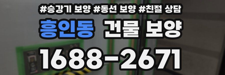 흥인동 건물 보양