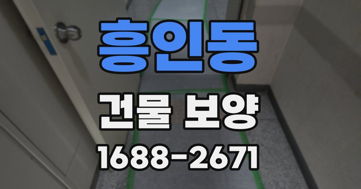 흥인동 건물 보양