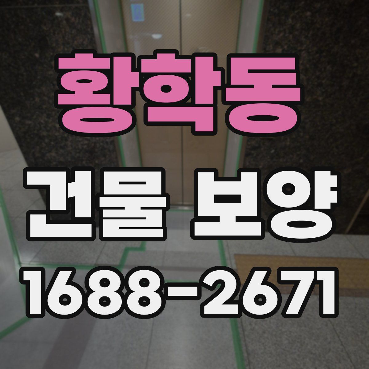 황학동 건물 보양