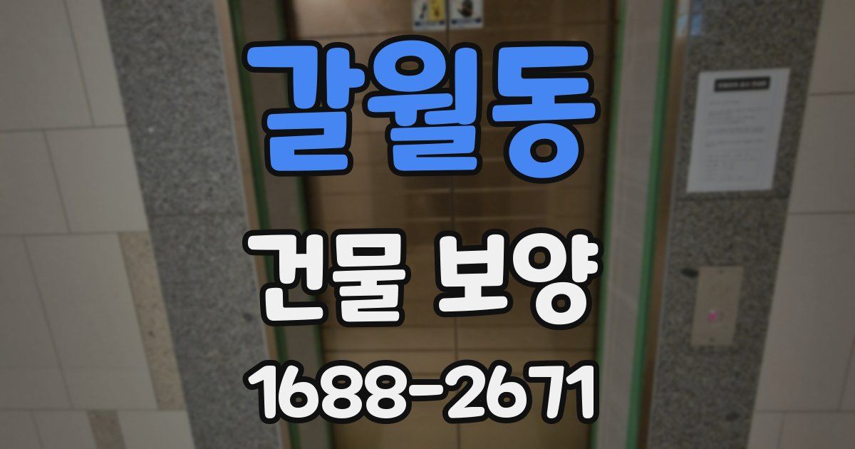 갈월동 건물 보양