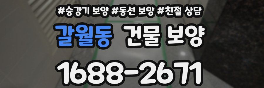 갈월동 건물 보양