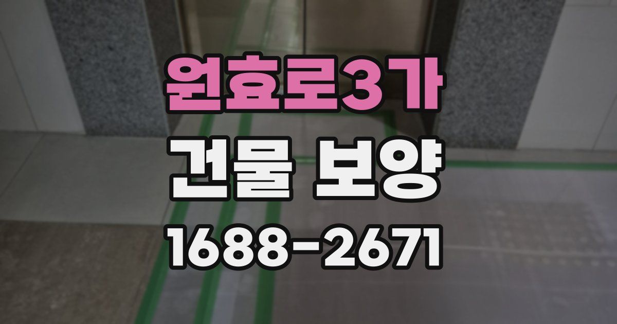 원효로3가 건물 보양