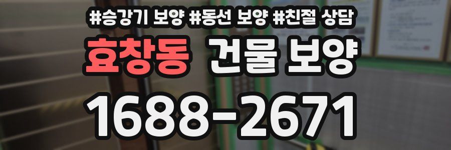 효창동 건물 보양