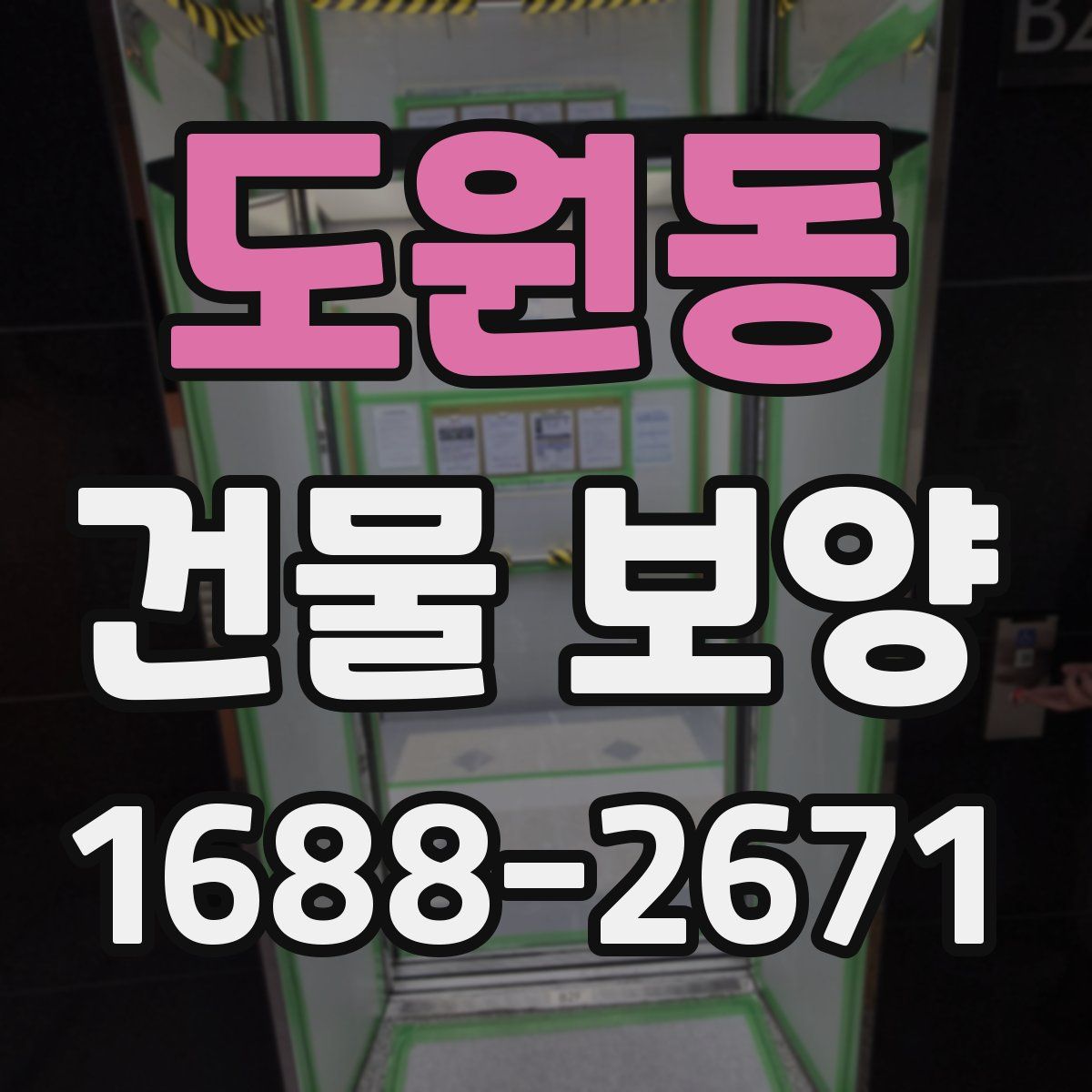 도원동 건물 보양